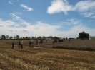 Feldtage2017_457