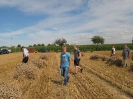 Feldtage2017_465