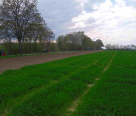 PL 0526 0461 PB 0527 0435 CL 0514 0500 t 0564 0397 CB 0516 0463 t 0565 0367 t 0564 0356 RH 0576 RL 0518 BH 0421 BL 0397 i 031 007 I 031 006 T 0 V 13.8 S 0 FR 999.00 WN 0000 WF 0000 m 00
V 14.2T0560 Y 0387 I 1 S 001053 G 0399 I 1 S 000145 G 0080 C 000145 C 0080 V 001 L 516 G 0174 C 2 D 0256
ZP 0626 FR 00 FJ +333 FT +00 FM 00 FP +373
R 8292 PM 0002 CM 0122 PO -100 PO -100 CO 3778 CO 3811 S 0228 Y 0484 R 0499 B 0494 SO 0758 YO 0949 RO 1028 BO 0868 F P767
0.56.03.00 BarCo_A09CJT003240 < ST 00 F 00 I 0000.